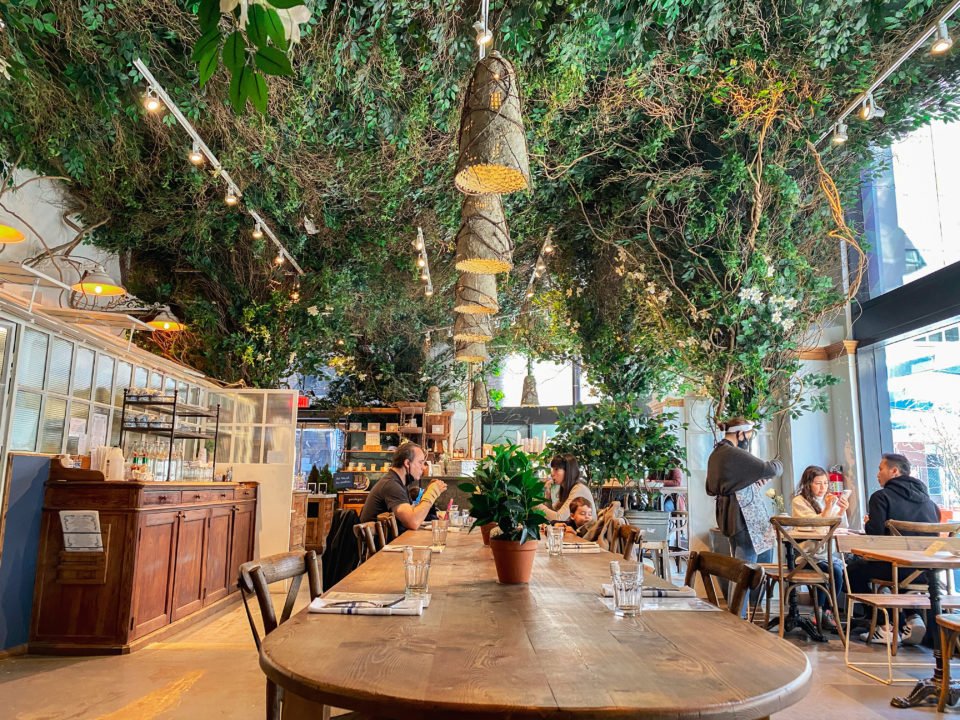 緑に囲まれたカフェ内装